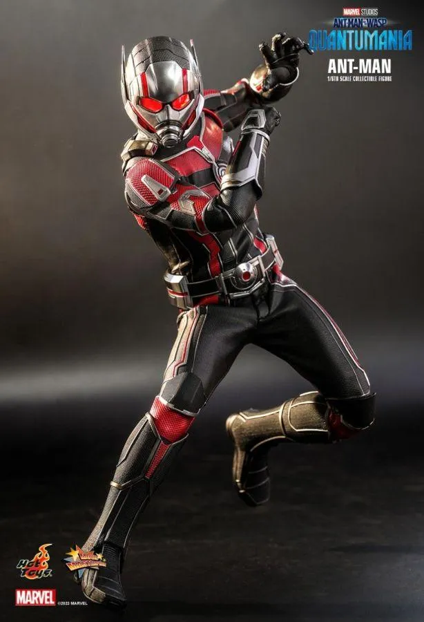 Ant-Man and the Wasp: Quantumania - Ant-Man 1:6 Scale Action Figure - Image 3