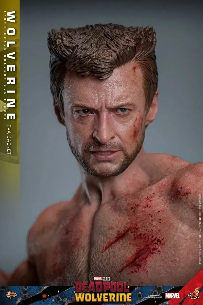 Deadpool & Wolverine - Wolverine (TVA Jacket) 1:6 Scale Collectable Action Figure - Image 10