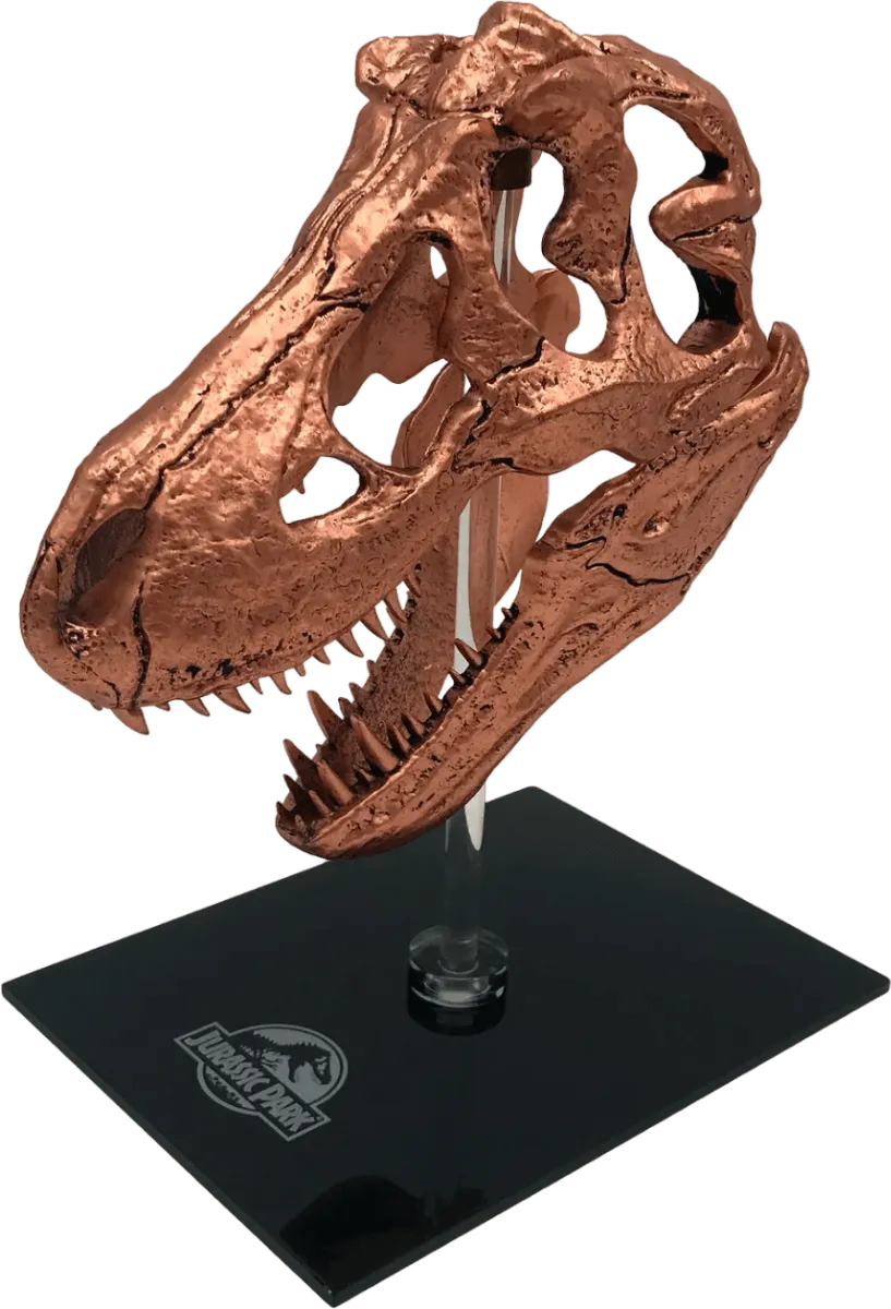 Jurassic Park - T-Rex Skull Scaled Prop Replica - Image 2