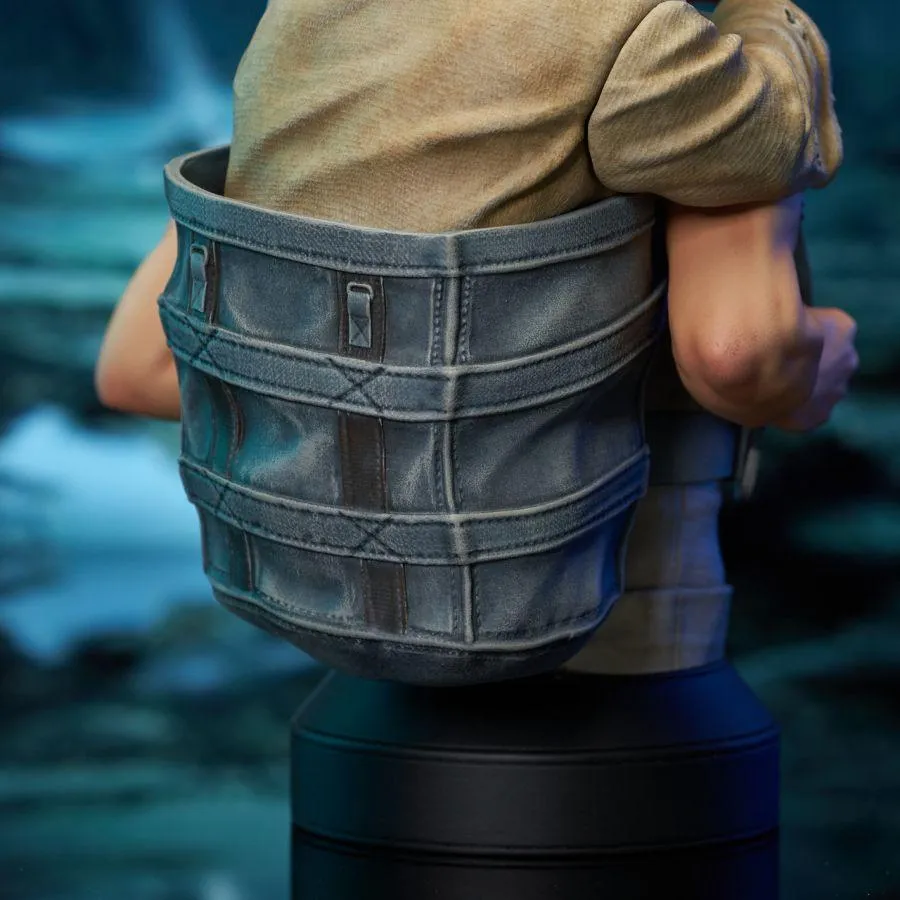 Star Wars: The Empire Strikes Back -Luke Skywalker with Yoda 1:6 Scale Mini Bust - Image 9