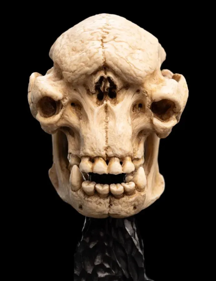 The Lord of the Rings - Skull of a Cave Troll Miniature Skull - Image 5