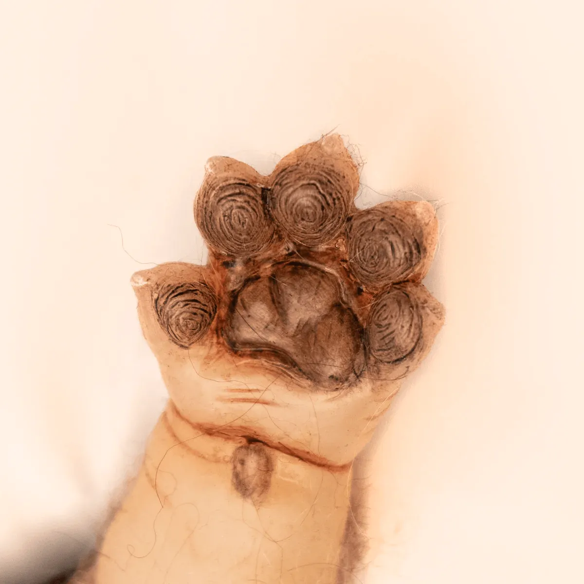 Werepups - Toby Doll - Image 7