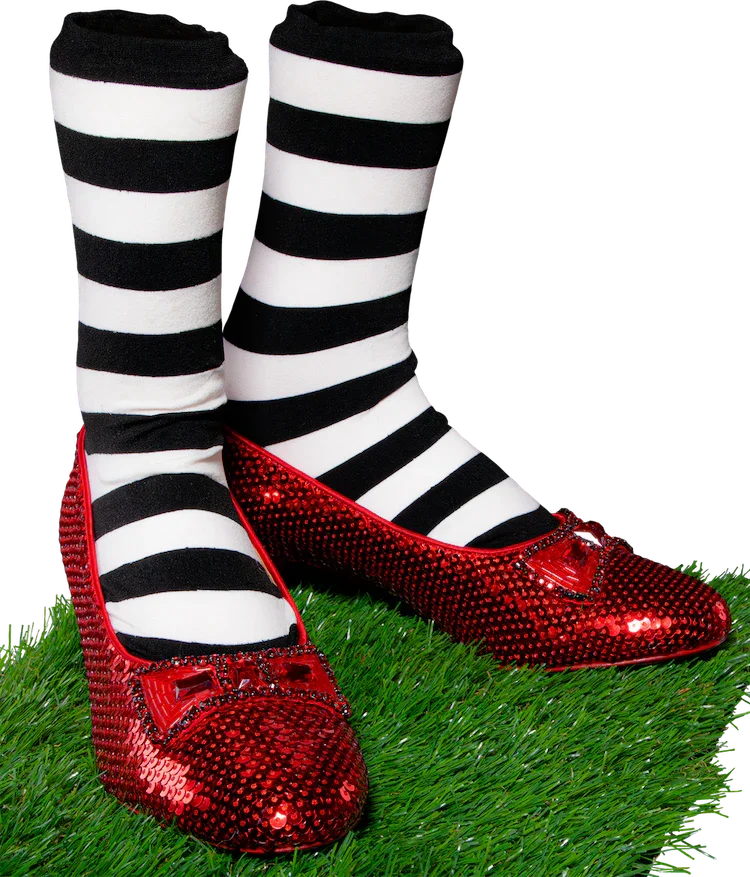 Wizard of Oz - Dorothy and Wicked Witch's Replica Ruby Slippers - Image 7